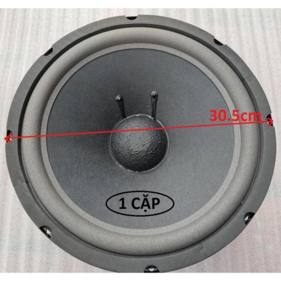 LOA BASS 30 TỪ KÉP CÔN 66 GÂN MÚT - GIÁ 1 CẶP - CỦ LOA BASS 3 TẤC