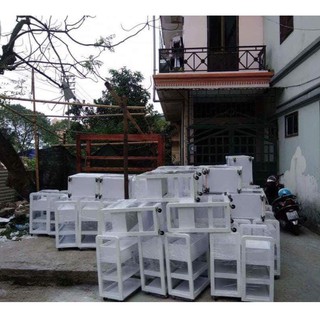 Xe đẩy ms 04b xe đẩy spa giá tốt