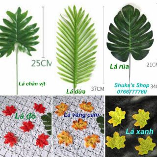 Phụ kiện chụp ảnh - lá trang trí