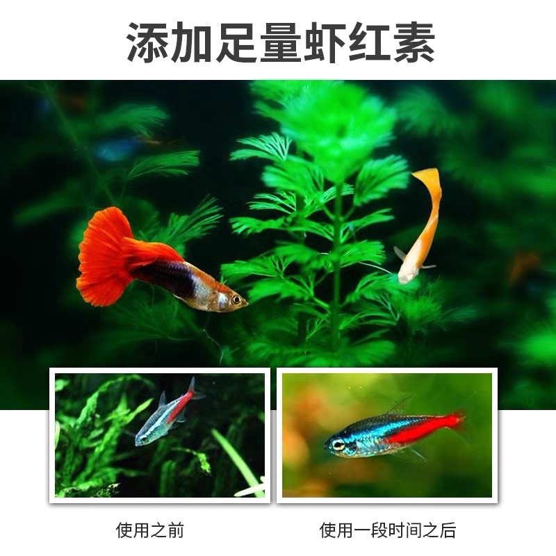 Thức ăn tảo lá - Thịt lá  Artemia dạng lá cho cá thuỷ sinh