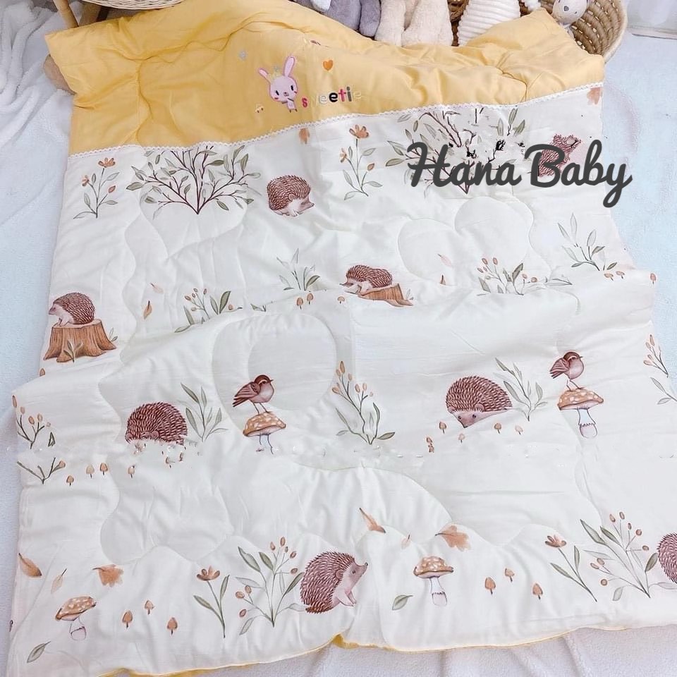 Chăn Cotton Trần Bông Siêu Nhẹ, Siêu Ấm Cho Bé