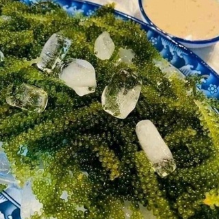 Rong nho tách nước nha trang