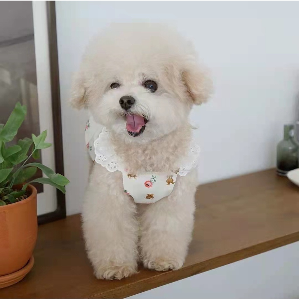 Đầm Phồng Phong Cách Hàn Quốc Thời Trang Xuân Hè Cho Thú Cưng