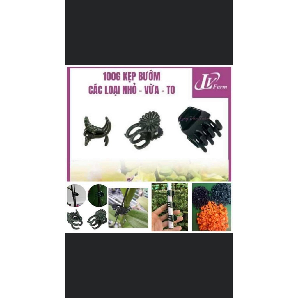 100 kẹp bướm cố định hoa lan