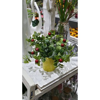 Chậu cây phát lộc
