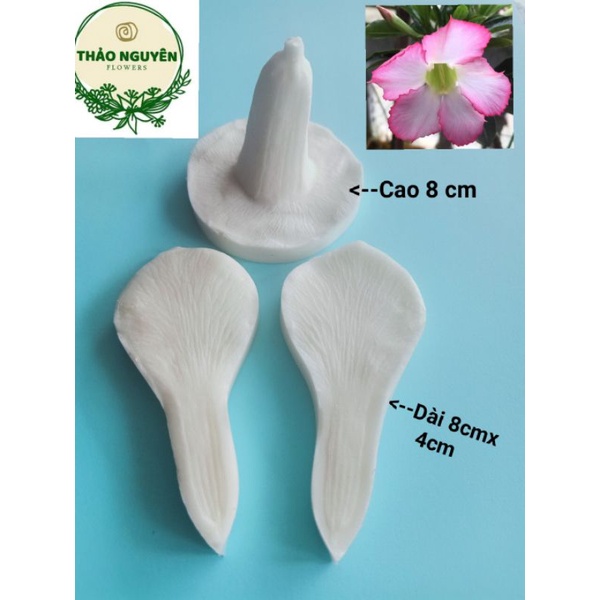 Bộ gân silicon hoa sứ Thái