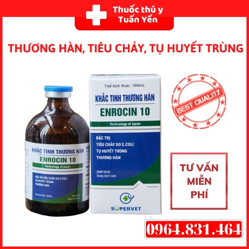 Khắc tinh thương hàn Enrocin 10 SUPERVET tiêu chảy phân vàng, phân nhớt, tiêu chảy có bọt (thú y Tuấn Yến)