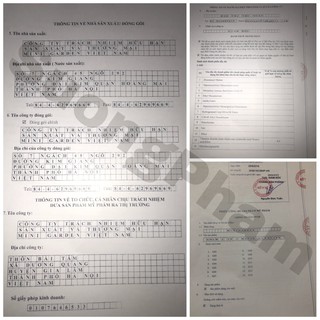 SON ROSES VERSION 2019 LÌ MÀU