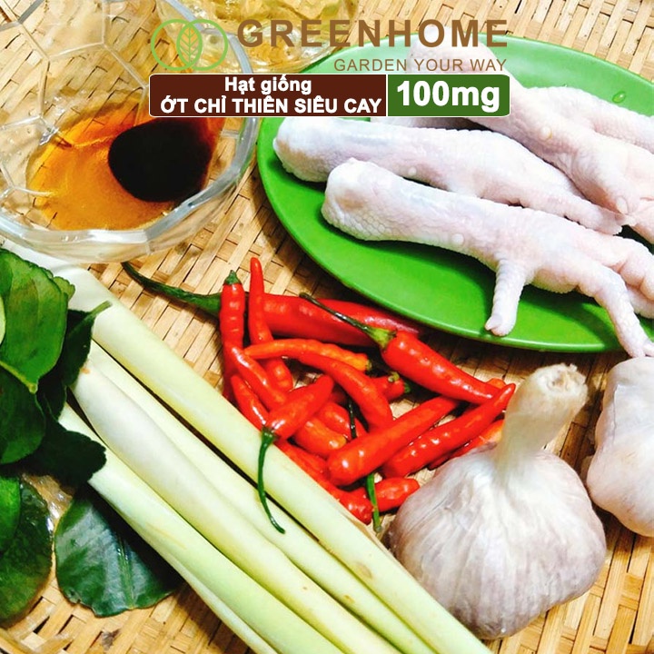 Hạt giống Ớt chỉ thiên, gói 100mg, dễ trồng, sai trái, siêu cay G11 |Greenhome