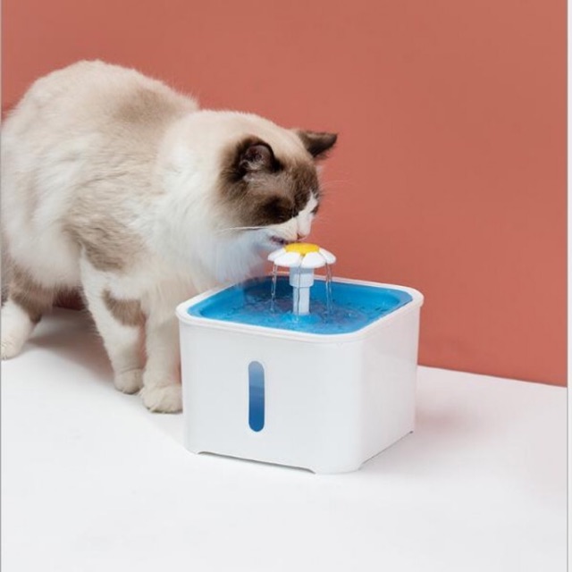 Máy nước tự động hoa vuông cho chó mèo