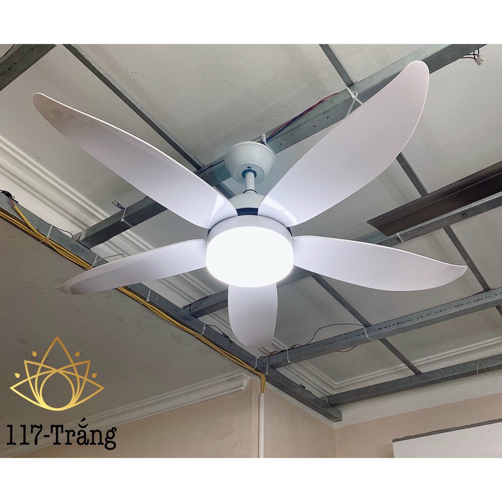 Quạt Trần Đèn 5 Cánh Động Cơ DC inverter