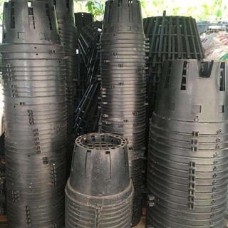 Combo 10 chậu trồng lan đen fi 16