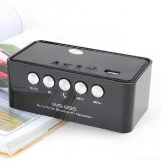 LOA NGHE NHẠC BT WS-655
