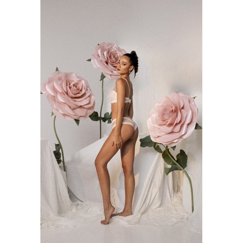 Gigi set_2 phiên bản ( có mút và không mút ) | BigBuy360 - bigbuy360.vn