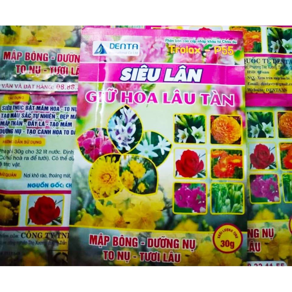 Siêu Lân - Giữ hoa lâu tàn, mập bông, sai nụ, tươi lâu, phân dưỡng hoa