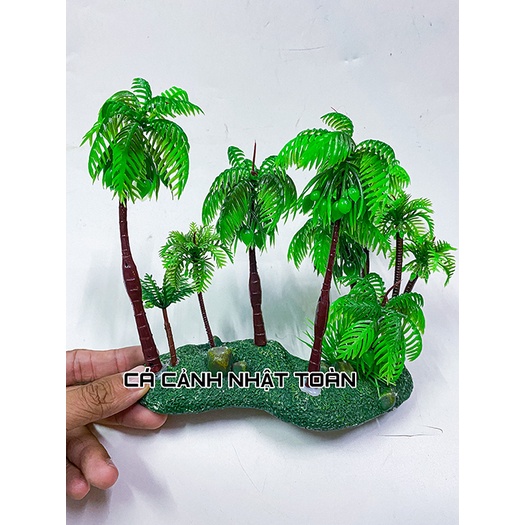 CẢNH DỪA TRANG TRÍ HỒ CÁ NON BỘ 17x6x16cm