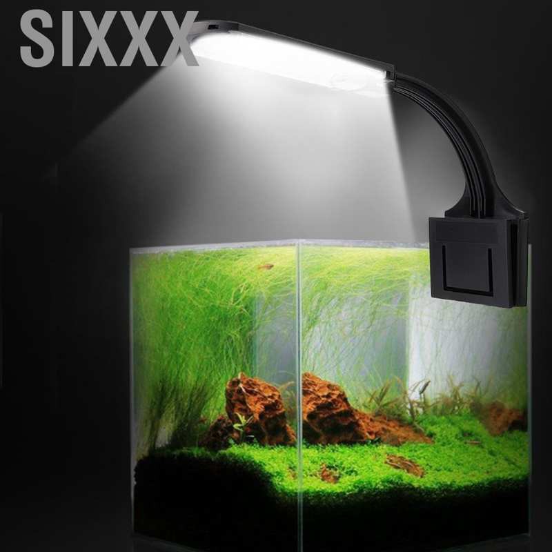 Đèn Led Trang Trí Bể Cá Mới