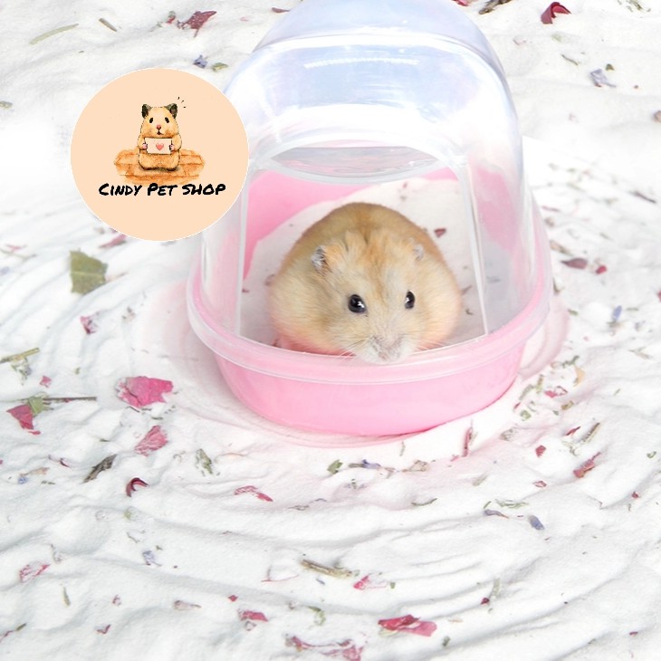 Cát tắm Lizzy 1kg full mùi hương cho Hamster