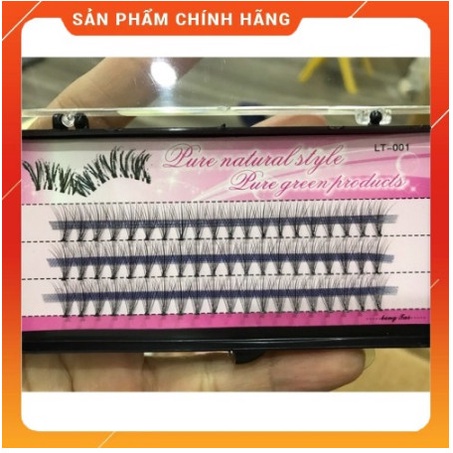 Mi hoa sơn trà tím