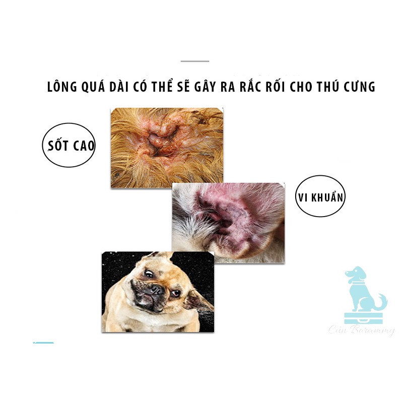 Bột nhổ lông tai cho chó mèo EAR POWDER bảo vệ sức khỏe NGĂN NGỪA VI KHUẨN , NẤM ,VE GIỮ TAI LUÔN SẠCH SẼ