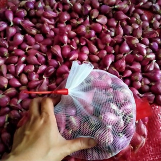 HÀNH Tím Lý Sơn