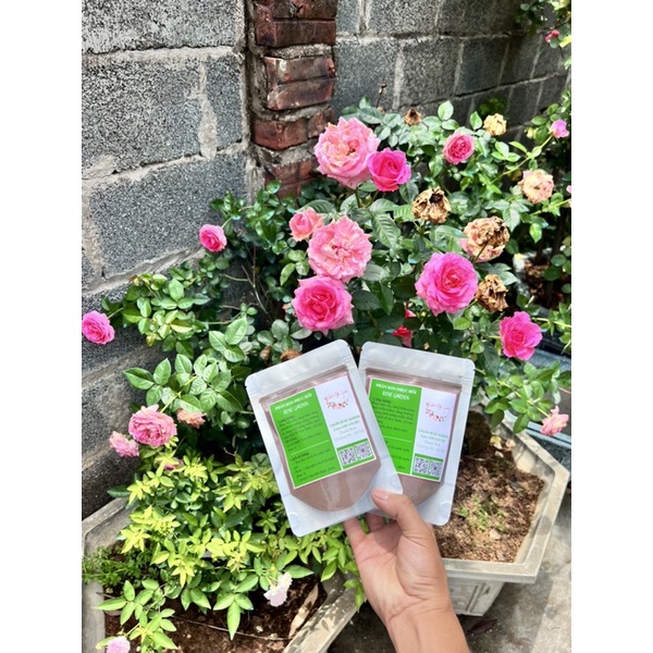 PHÂN BÓN PHỤC HỒI HOA HỒNG ROSE GARDEN