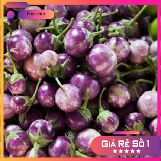 Hạt giống Cà pháo tím
