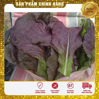 Hạt giống cải canh lá đỏ