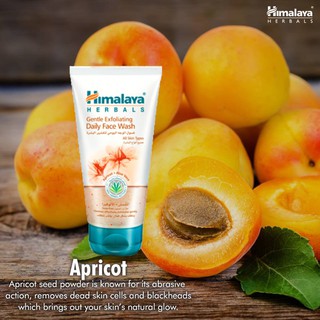 MUA 1 TẶNG 1 Sửa rửa mặt Himalaya loại bỏ mụn đầu đenGentle Exfloating Face Wash 150ml ( 2 chai 150ml + 150ml /300ml )