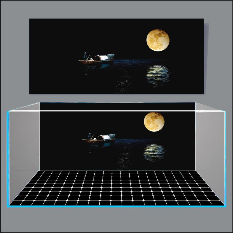 Decal dán hồ cá 3D siêu đẹp _ giá rẻ