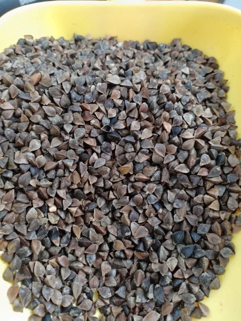 500g Hạt ba khía  .