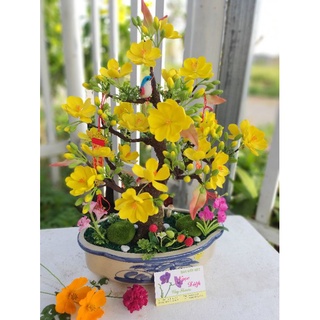 20 HOA MAI ĐẤT SÉT NHẬT ( ĐK ~4CM)