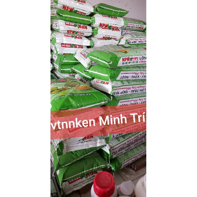 Phân bón chuyên dành cho cây mít