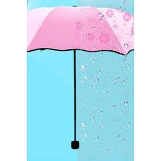 Dù đi nắng đi mưa (Gặp nước nở hoa)