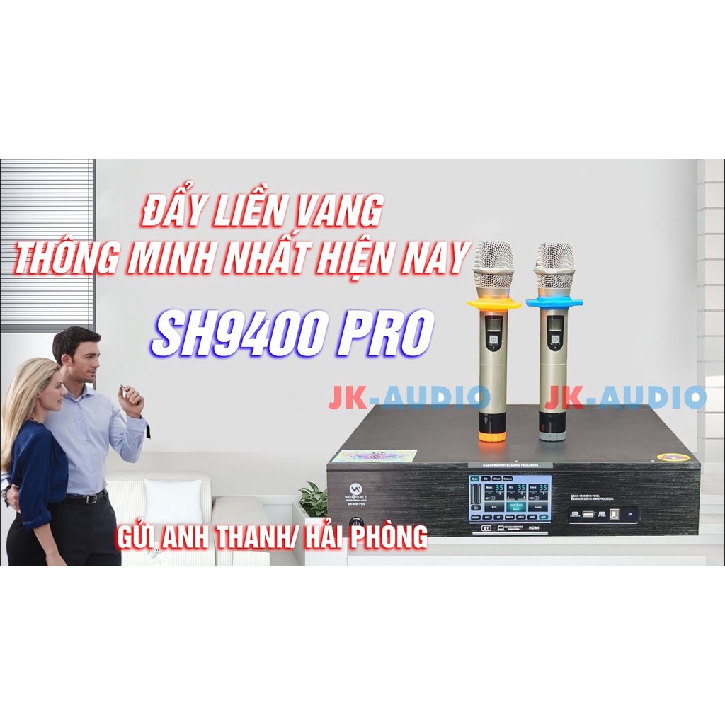 Đẩy liền vang Weeworld SH9400 Pro