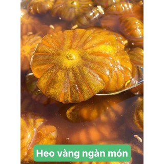Tắc xí muội hoa