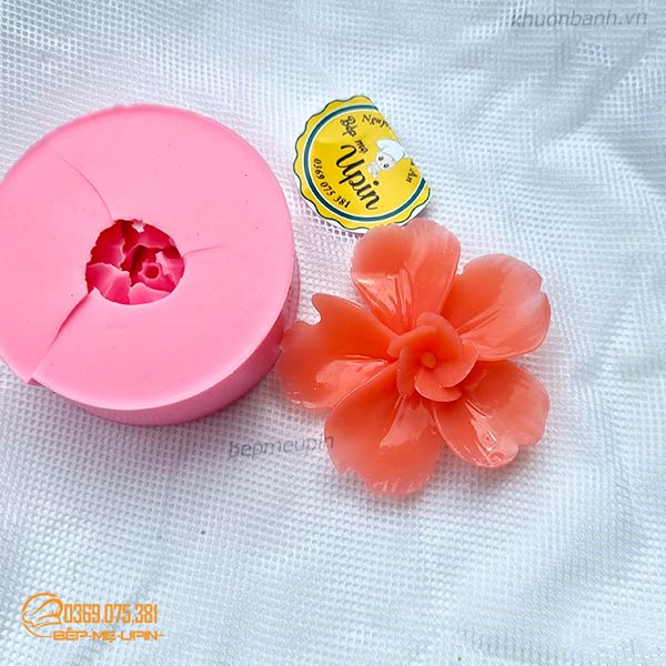 Khuôn silicon bông hoa mã HS59
