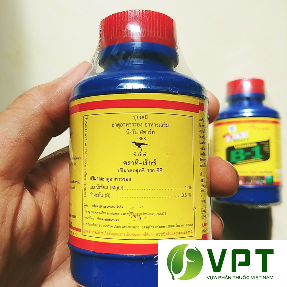 Vitamin B1 Xanh Thái Lan – Kích rễ, chống sốc cho cây Chai 100ml