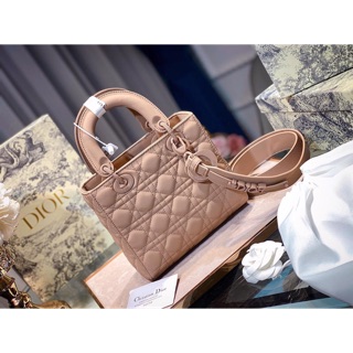 Túi xách nữ đeo chéo DIOR LADY 5 ô khoá tag cùng màu túi hàng cao cấp