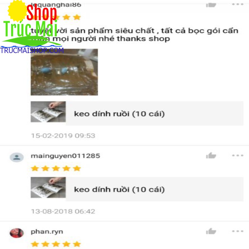 Sỉ 10 tấm keo dính ruồi