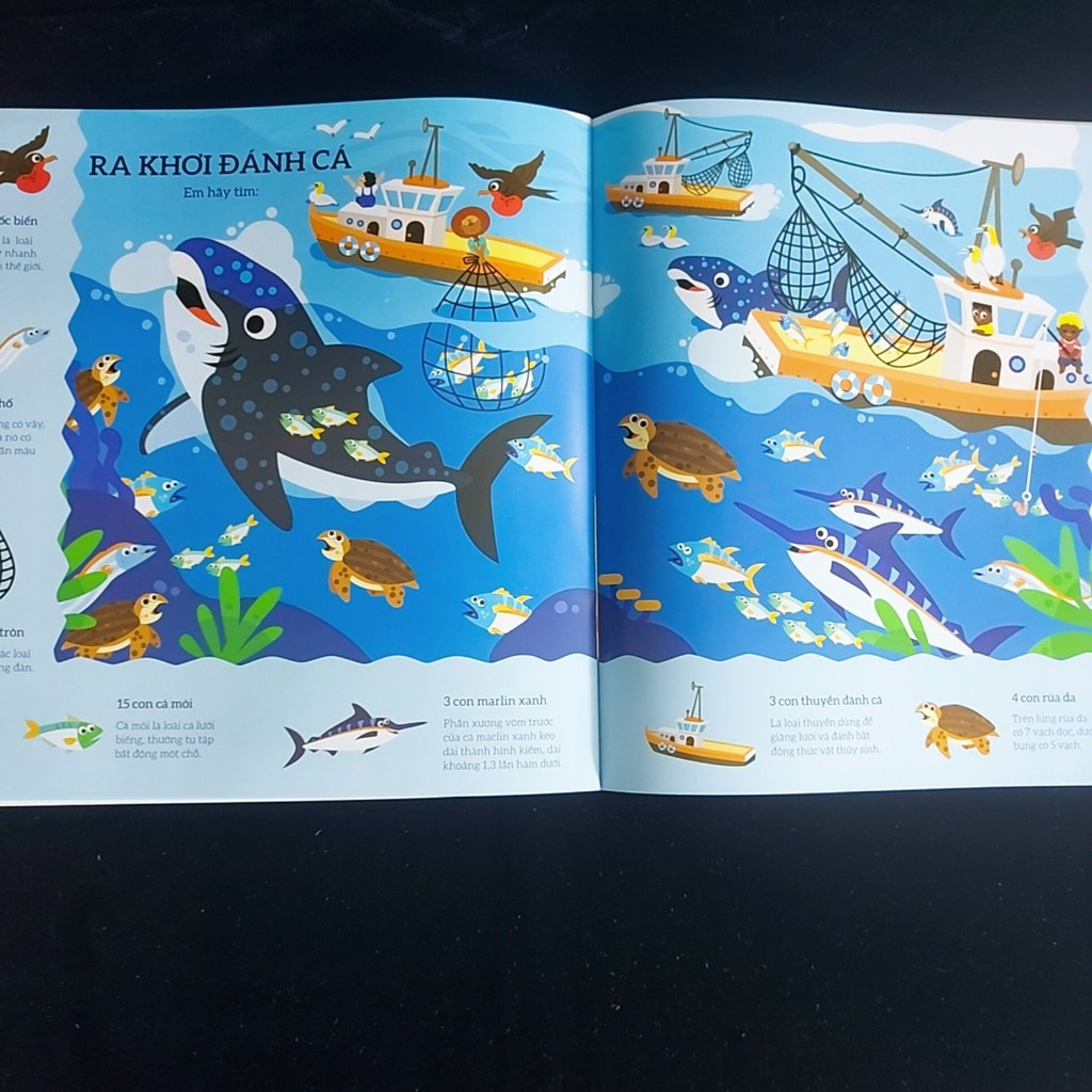 Sách - Tìm kiếm thông minh - Phát triển khả năng tập trung - Dolphin Media - Sách tương tác