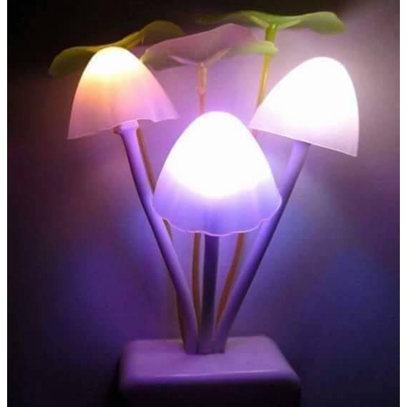 Combo 2 Cây Đèn Ngủ Nấm