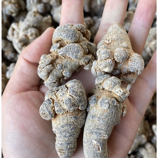 Củ Tam Thất Bắc 200 Gram