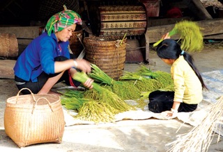 500GRAM CỐM KHÔ TÚ LỆ (ĐẶC SẢN YÊN BÁI)