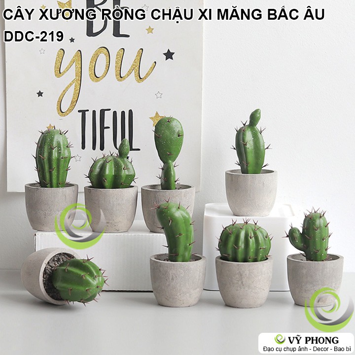 CÂY XƯƠNG RỒNG CHẬU SEN ĐÁ MÔ PHỎNG CHẬU XI MĂNG NORDIC BẮC ÂU TRANG TRÍ ĐẠO CỤ CHỤP ẢNH SẢN PHẨM INS DDC-219