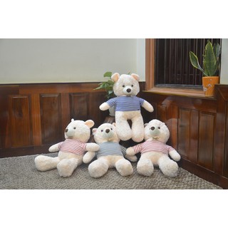 Gấu bông teddy Cao Cấp