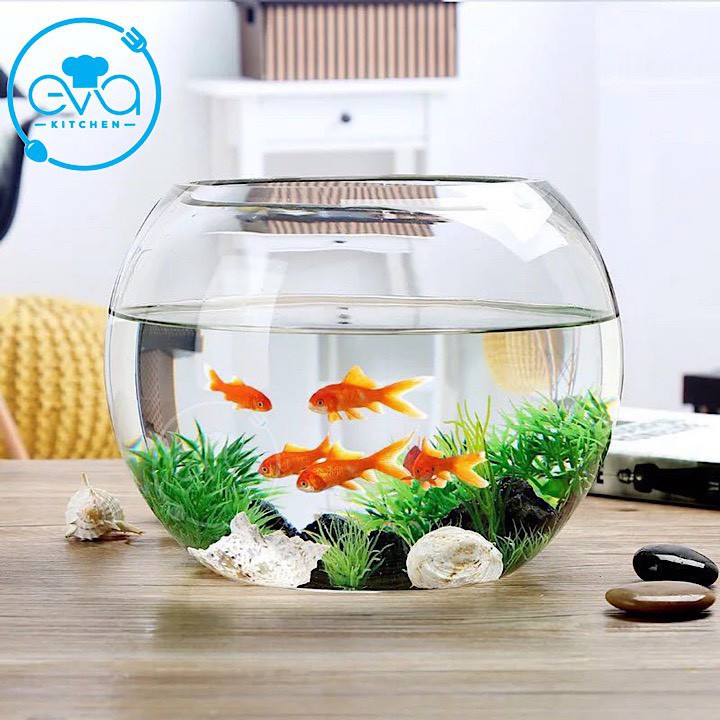 Hồ Cá Thuỷ Tinh Tròn Bầu 24 x 16 Cm T02 Tặng Kèm Sỏi Và Rong Trang Trí