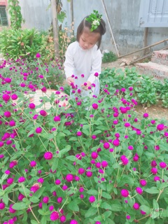 Áo dài lụa trắng ( kèm quần và mấn)