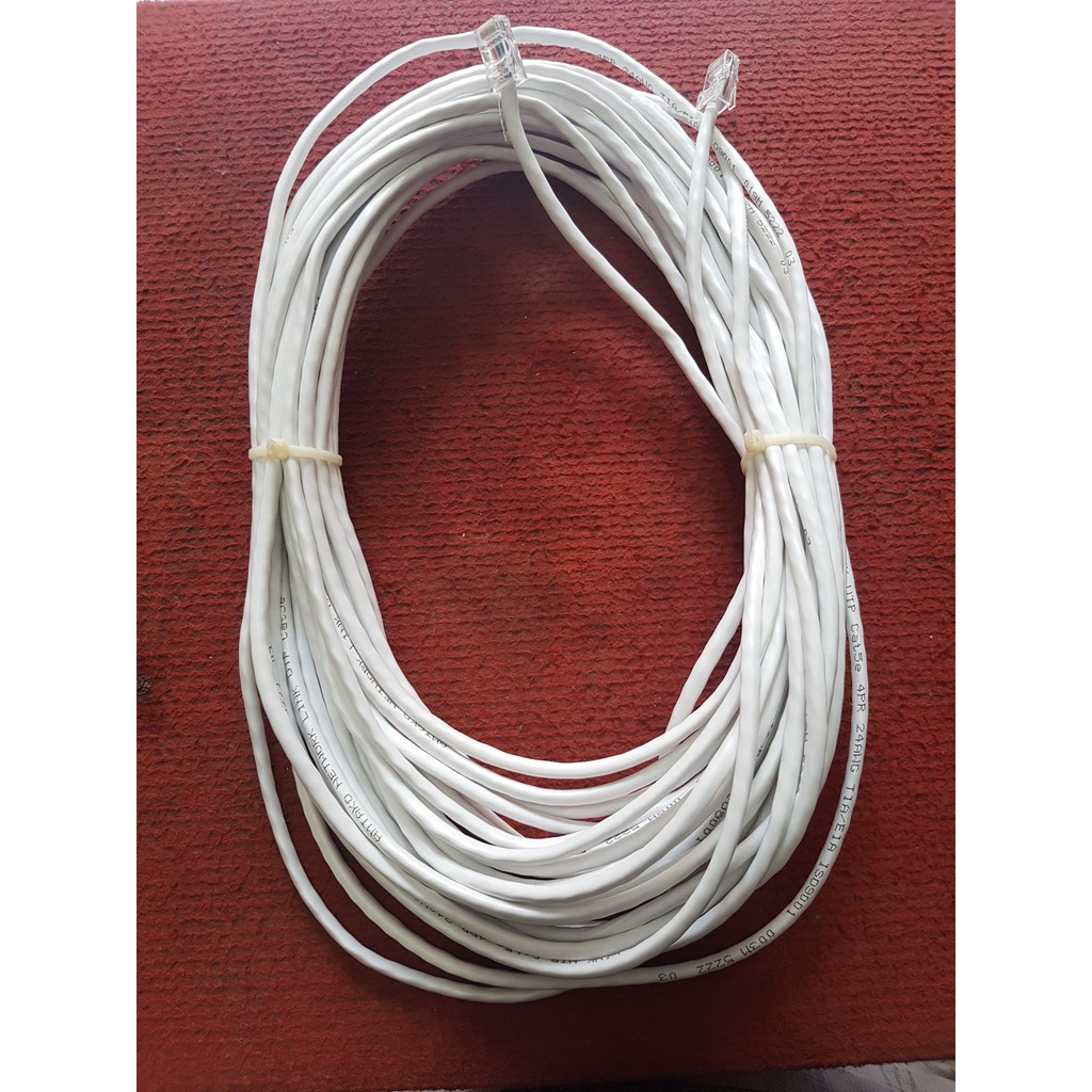 100M dây mạng CAt5E bấm sẵn 2 đầu( ANSMART )