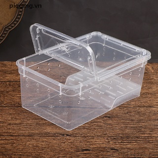 Hộp vải lụa cho thú cưng bò sát bò sát

